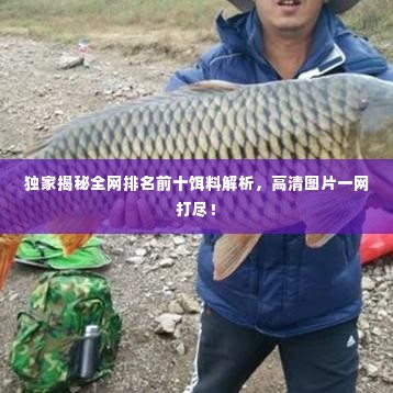独家揭秘全网排名前十饵料解析，高清图片一网打尽！