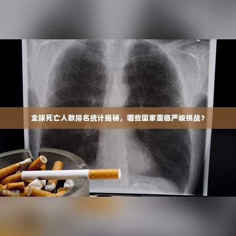 全球死亡人数排名统计揭秘,哪些国家面临严峻挑战?