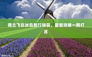 荷兰飞往冰岛旅行秘籍,最新攻略一网打尽