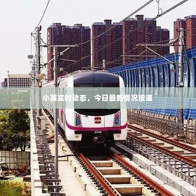 小寨实时动态,今日最新情况报道