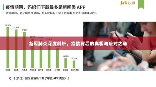 新冠肺炎深度剖析,疫情背后的真相与应对之道