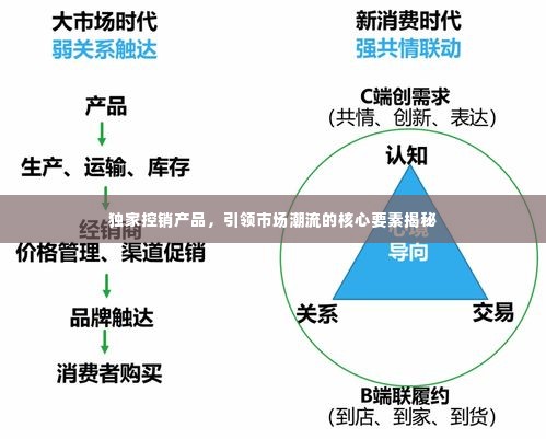 独家控销产品,引领市场潮流的核心要素揭秘
