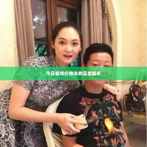 今日柴鸡价格走势深度解析