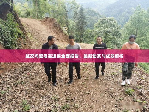 整改问题落实进展全面报告,最新动态与成效解析