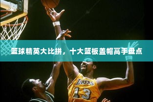 篮球精英大比拼,十大篮板盖帽高手盘点