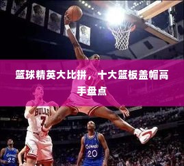 篮球精英大比拼,十大篮板盖帽高手盘点