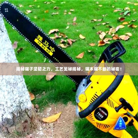 揭秘锯子坚韧之力,工艺奥秘揭秘,锯木锯不断的秘密!