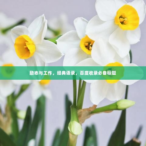 励志与工作,经典语录,百度收录必备标题