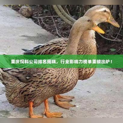重庆饲料公司排名揭晓，行业影响力榜单重磅出炉！