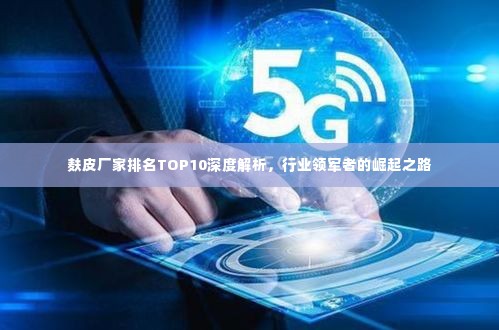 麸皮厂家排名TOP10深度解析，行业领军者的崛起之路