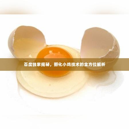 百度独家揭秘，孵化小鸡技术的全方位解析