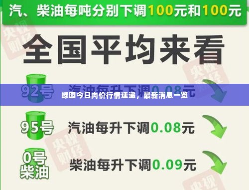 绿园今日肉价行情速递，最新消息一览