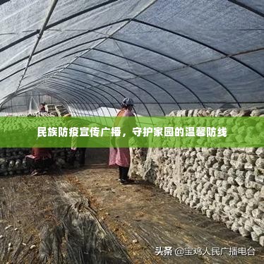 布被瓦器 第3页