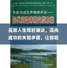 高效人生规划秘诀,迈向成功的关键步骤,让你轻松领跑人生路!