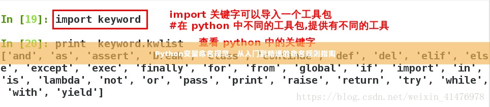 Python变量命名规范,从入门到精通的命名规则指南