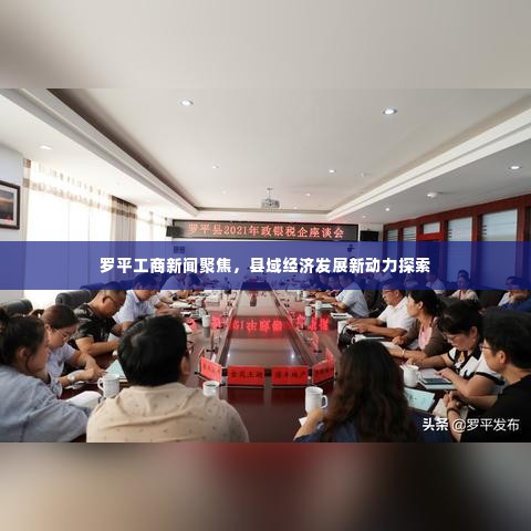 罗平工商新闻聚焦,县域经济发展新动力探索