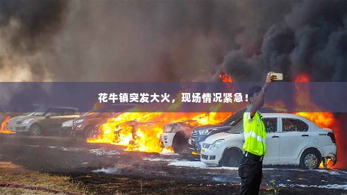 花牛镇突发大火,现场情况紧急!