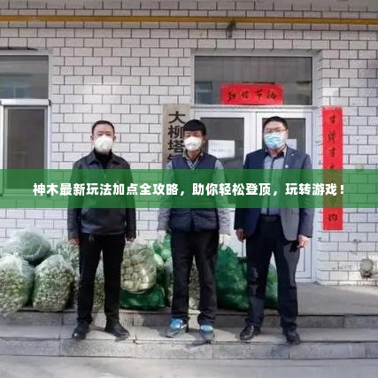 神木最新玩法加点全攻略,助你轻松登顶,玩转游戏!