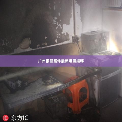 广州报警案件最新进展揭秘