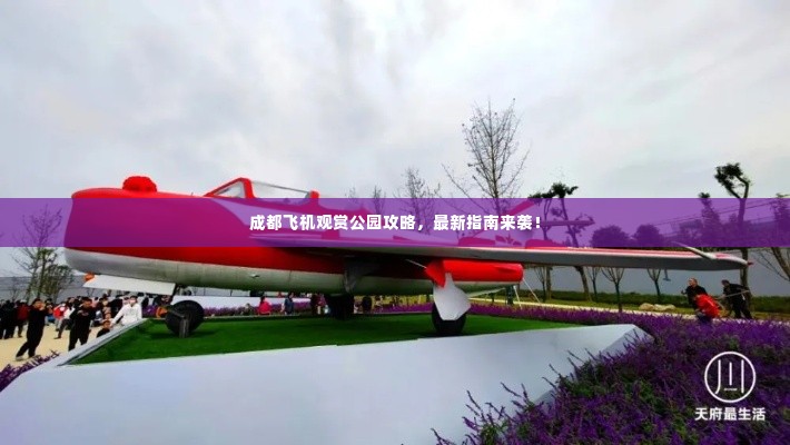 成都飞机观赏公园攻略,最新指南来袭!