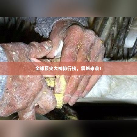 全球顶尖大神排行榜，震撼来袭！