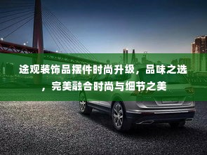 途观装饰品摆件时尚升级,品味之选,完美融合时尚与细节之美