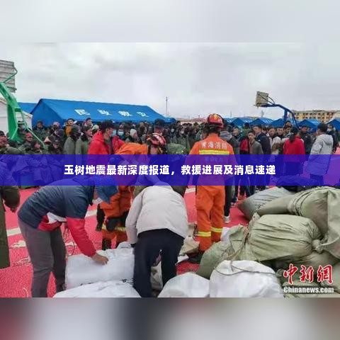 玉树地震最新深度报道,救援进展及消息速递