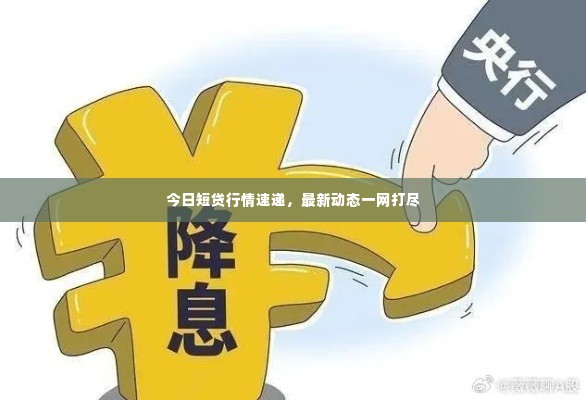 今日短贷行情速递,最新动态一网打尽