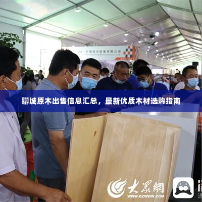 聊城原木出售信息汇总，最新优质木材选购指南