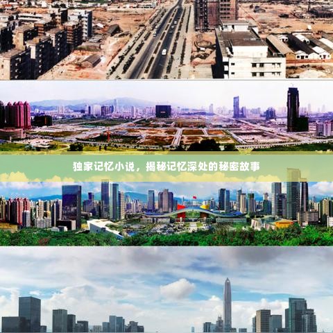 独家记忆小说,揭秘记忆深处的秘密故事