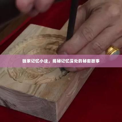独家记忆小说,揭秘记忆深处的秘密故事