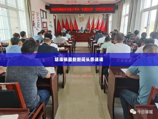 胡庙镇最新新闻头条速递