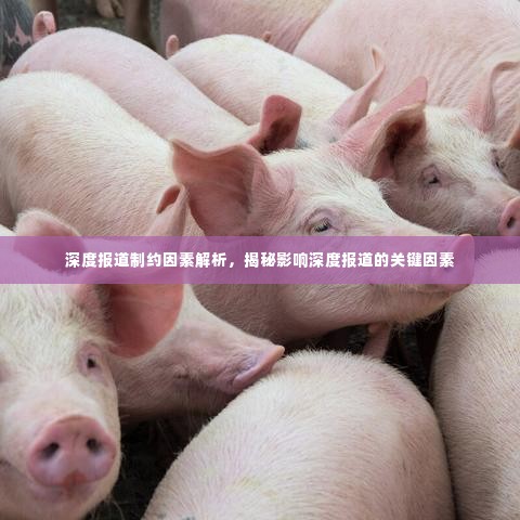深度报道制约因素解析,揭秘影响深度报道的关键因素