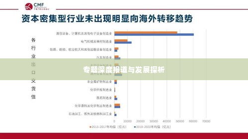 专题深度报道与发展探析