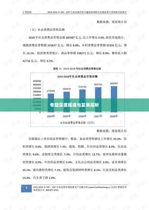专题深度报道与发展探析