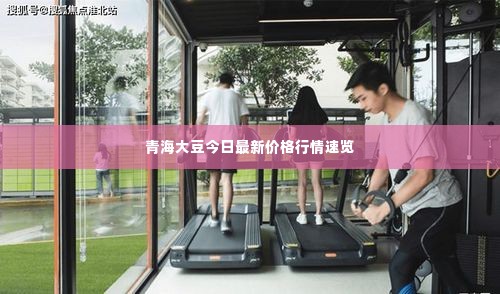 青海大豆今日最新价格行情速览