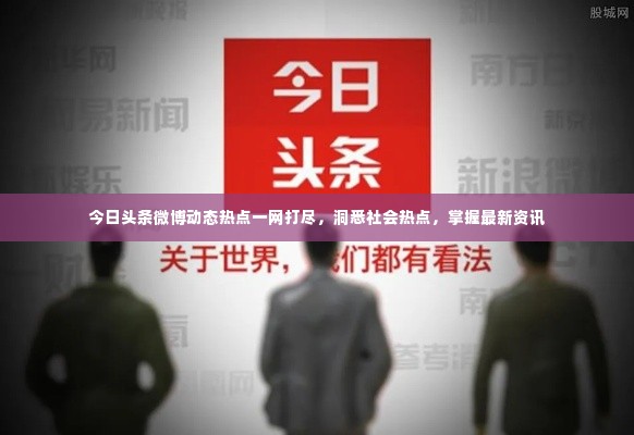 今日头条微博动态热点一网打尽,洞悉社会热点,掌握最新资讯