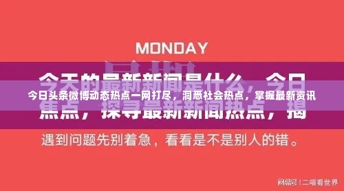 今日头条微博动态热点一网打尽,洞悉社会热点,掌握最新资讯