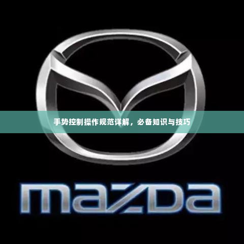 手势控制操作规范详解,必备知识与技巧