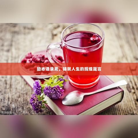励志语录男,铸就人生的辉煌箴言