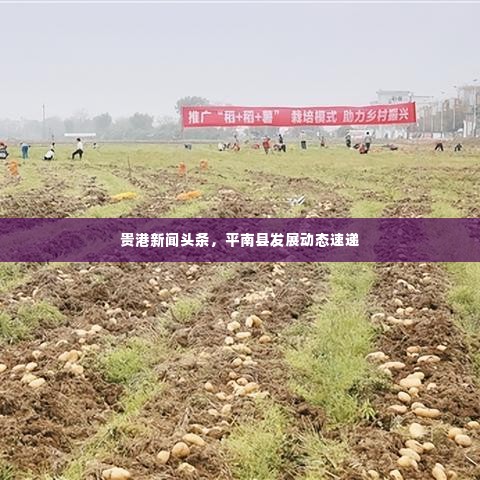 贵港新闻头条,平南县发展动态速递