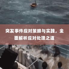 突发事件应对策略与实践,全面解析应对处理之道