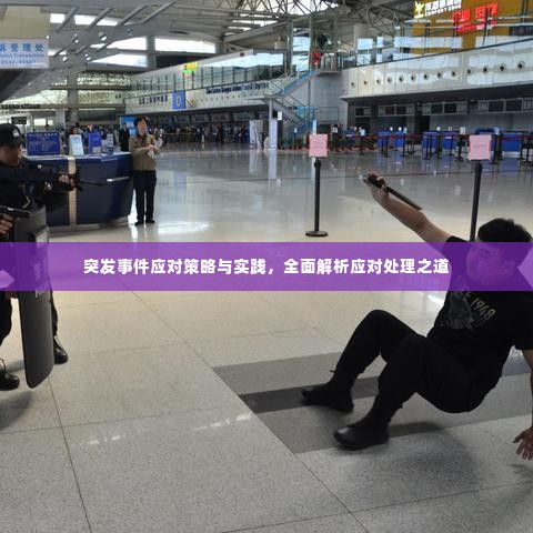 突发事件应对策略与实践,全面解析应对处理之道