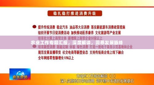 农业工作专题汇报,深度解读,洞悉发展脉络