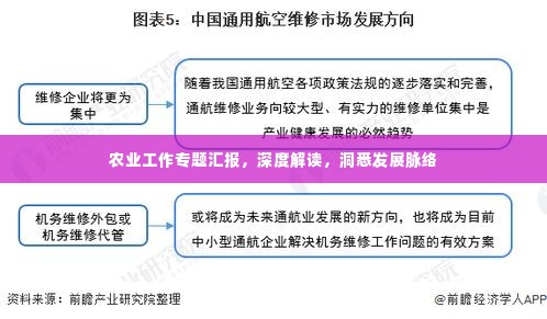 农业工作专题汇报,深度解读,洞悉发展脉络