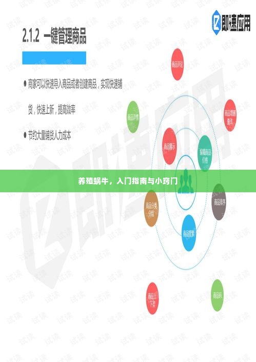 养殖蜗牛,入门指南与小窍门