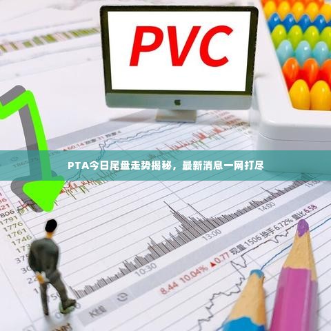 PTA今日尾盘走势揭秘,最新消息一网打尽
