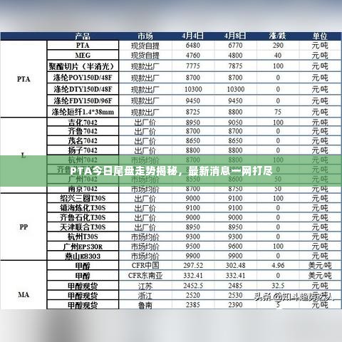 PTA今日尾盘走势揭秘,最新消息一网打尽