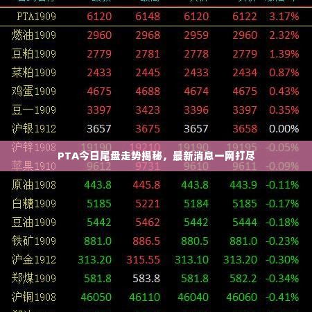 PTA今日尾盘走势揭秘,最新消息一网打尽