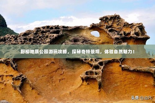 野柳地质公园游玩攻略,探秘奇特景观,体验自然魅力!